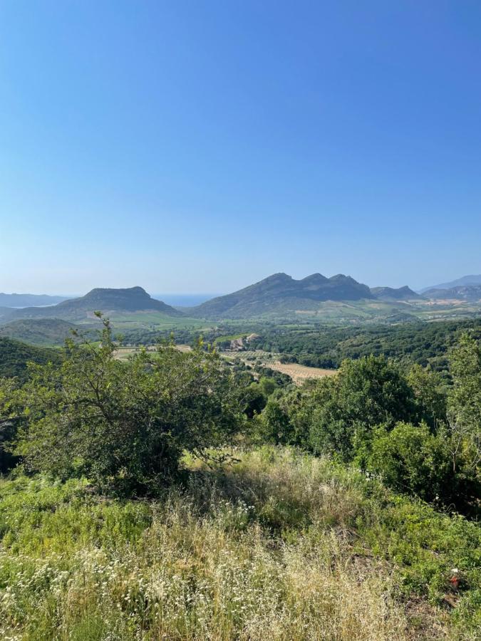 Casa Di Cajucan Poggio-d'Oletta Eksteriør bilde