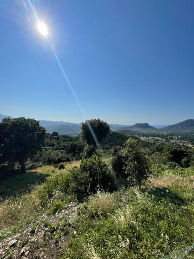 Casa Di Cajucan Poggio-d'Oletta Eksteriør bilde