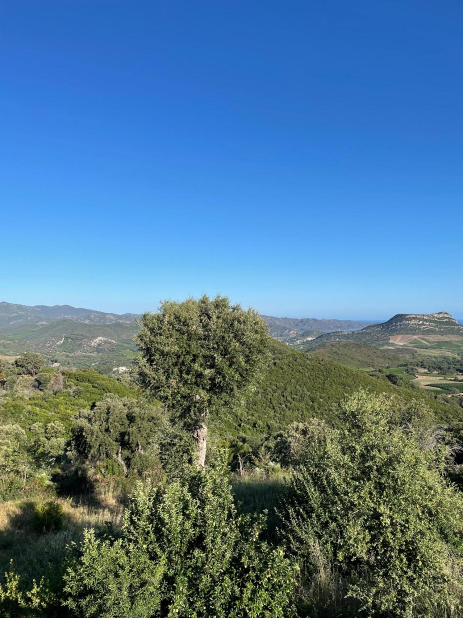 Casa Di Cajucan Poggio-d'Oletta Eksteriør bilde