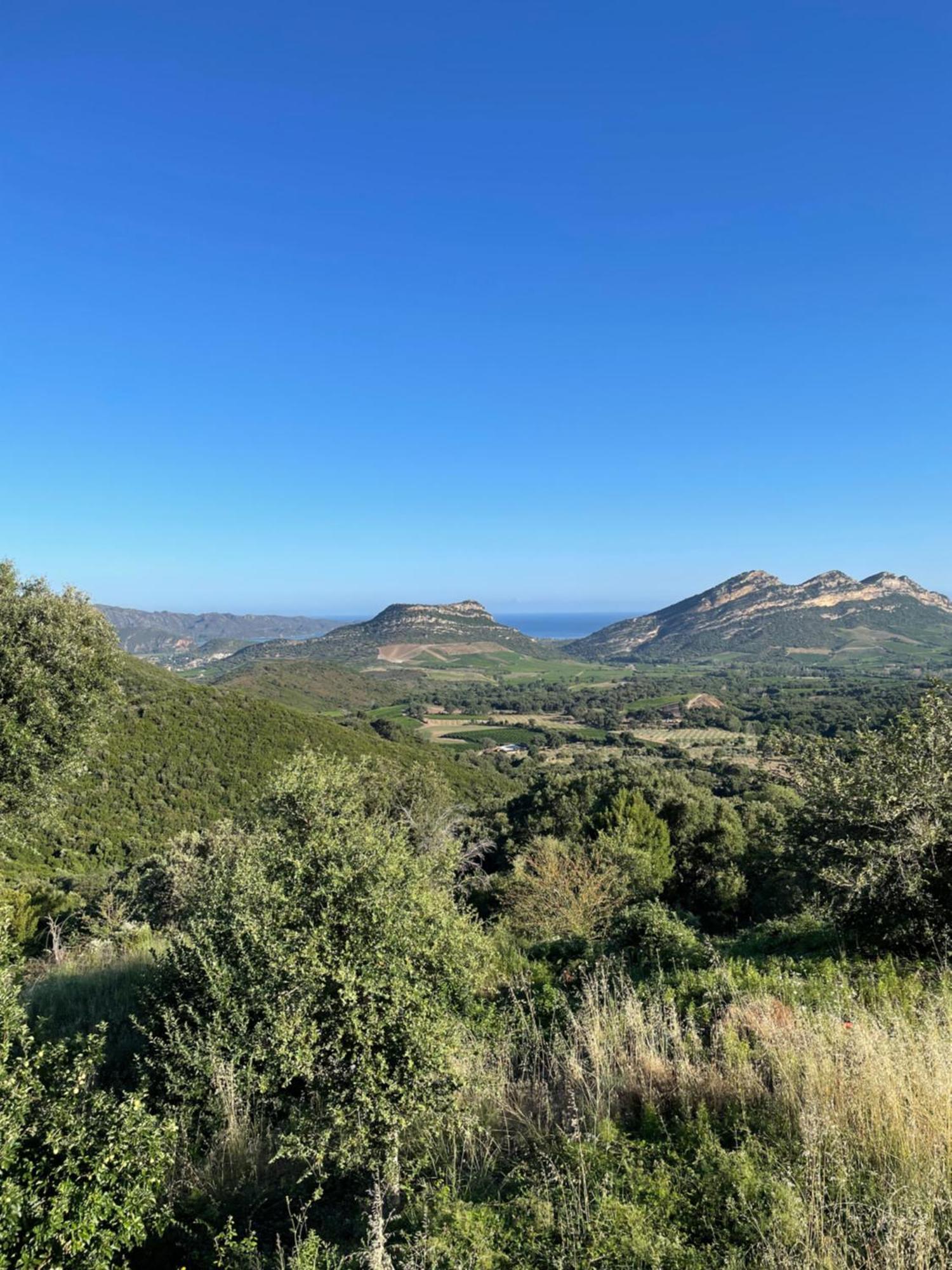 Casa Di Cajucan Poggio-d'Oletta Eksteriør bilde