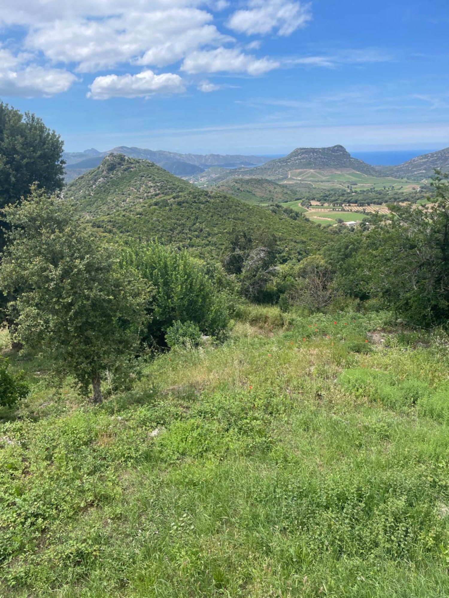 Casa Di Cajucan Poggio-d'Oletta Eksteriør bilde