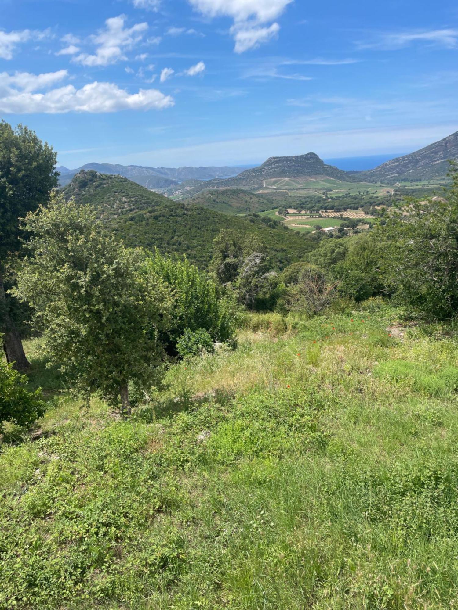 Casa Di Cajucan Poggio-d'Oletta Eksteriør bilde